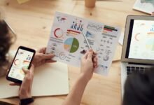 corporate data overview summary