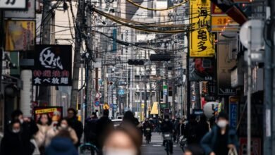 market analysis for products