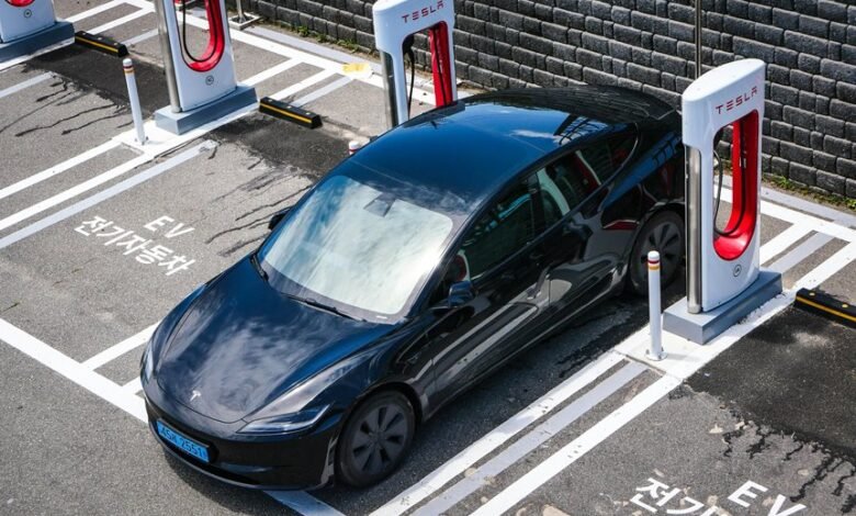 advanced digital model expansion