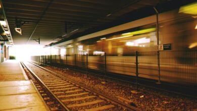 stability through professional system