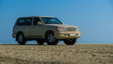 stable web framework solution